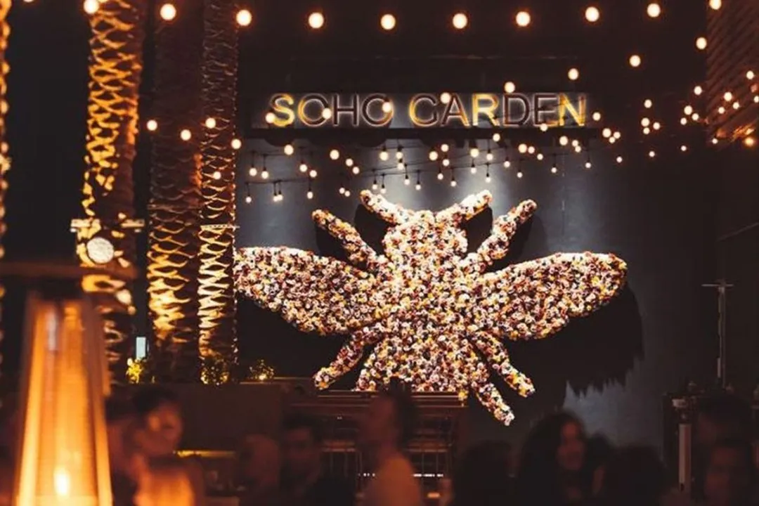 یک رستوران و لانژ سطح بالا Soho Garden لیدیز نایت را با بهترین کیفیت برگزار میکند