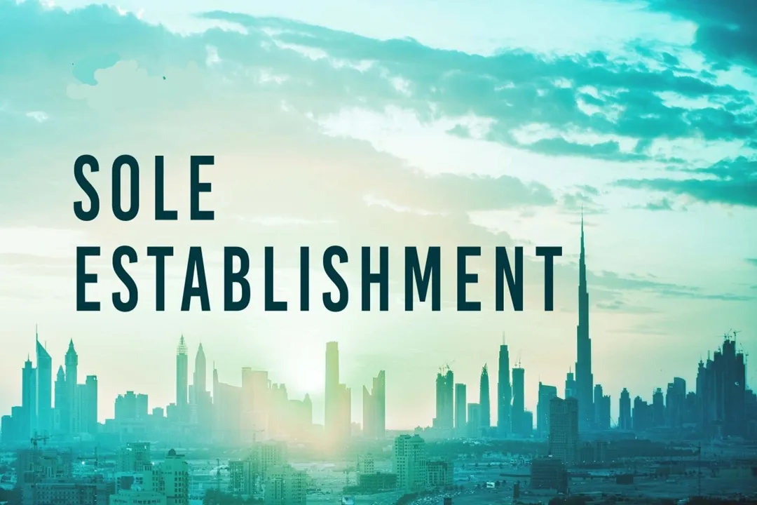 شرکت غیرسهامی یا مالکیت انفرادی، ساختاری ساده برای افرادی است که می‌خواهند مالکیت کامل و مستقیم کسب‌وکار خود را در امارات داشته باشند.